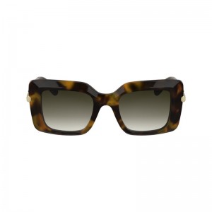 Women Longchamp Acetate Sunglasses Brown / Green | Thailand-563MXILTA