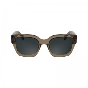 Women Longchamp Acetate Sunglasses Brown | Thailand-162XKMOFT