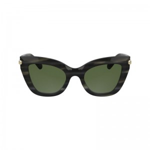 Women Longchamp Acetate Sunglasses Grey | Thailand-746ZRWOFG