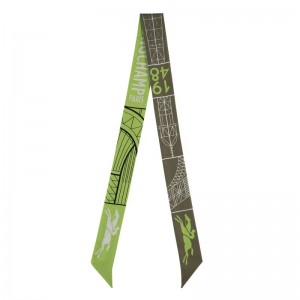 Women Longchamp Eiffel Tower 1948 Headband Olive / Multicolor | Thailand-856DWJQPY