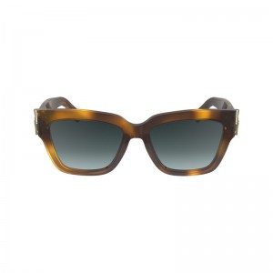 Women Longchamp Fall-winter 2023 Collection Sunglasses Brown | Thailand-429TSZOWL