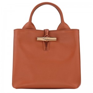 Women Longchamp Le Roseau S Handbag Orange | Thailand-798ITVHYX