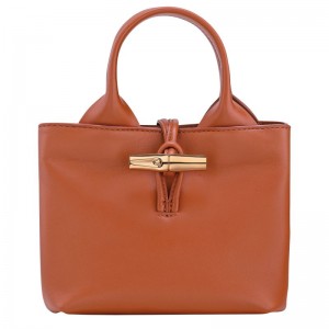 Women Longchamp Le Roseau Xs Handbag Orange | Thailand-961FUARBN