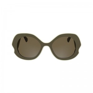 Women Longchamp Plant Based Resin Sunglasses Olive / Multicolor | Thailand-435KXDSWI