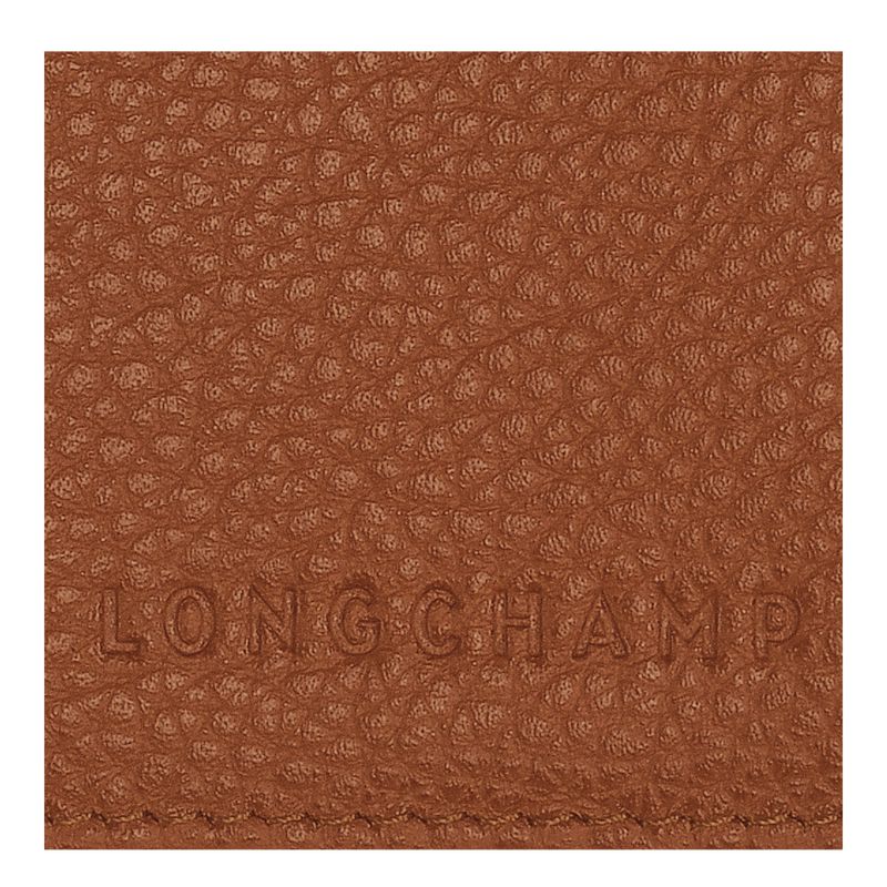 Men Longchamp Le Foulonné Passport Holder Brown | Thailand-349MRPIAC