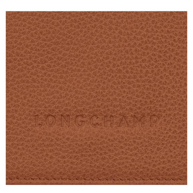 Men Longchamp Le Foulonné Wallet Brown | Thailand-417JXZCTH