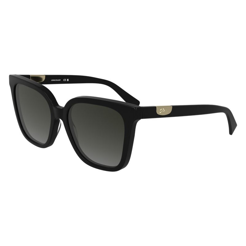 Women Longchamp Acetate Sunglasses Black | Thailand-758QPIYVR