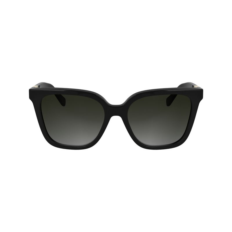 Women Longchamp Acetate Sunglasses Black | Thailand-758QPIYVR