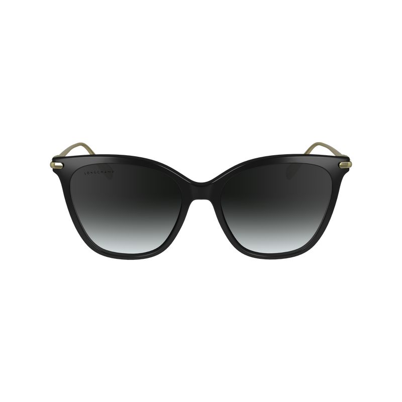 Women Longchamp Acetate / Metal Sunglasses Black | Thailand-752WZSQFY