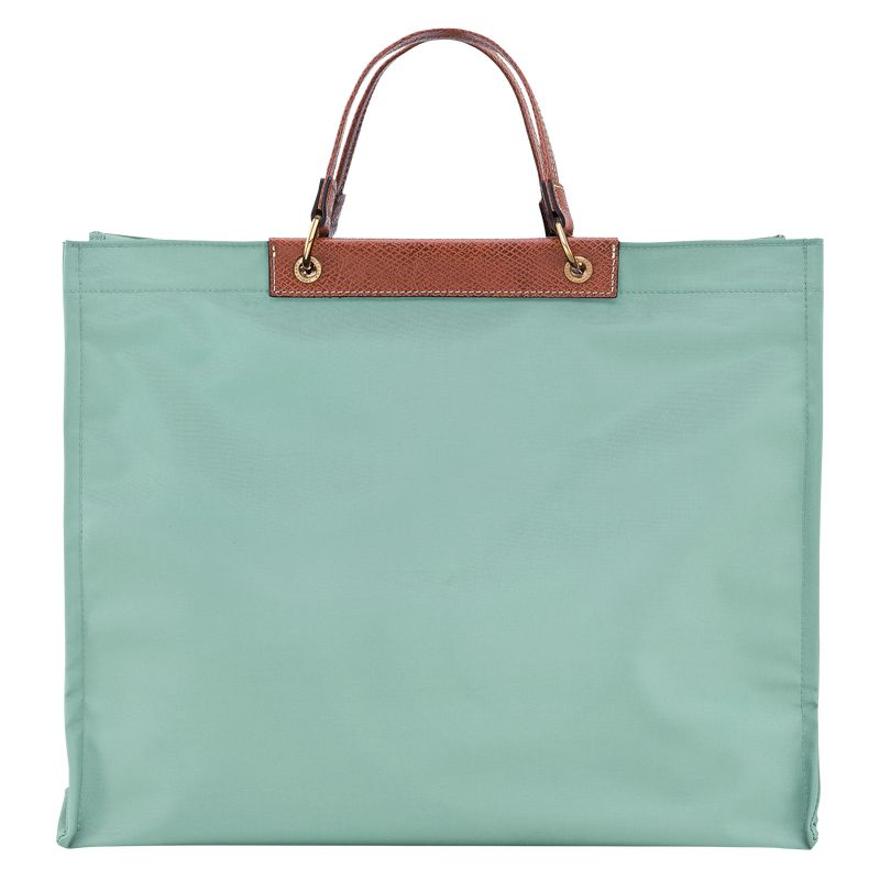 Women Longchamp Cabas L Tote Bag Blue Green | Thailand-613CUOXSD