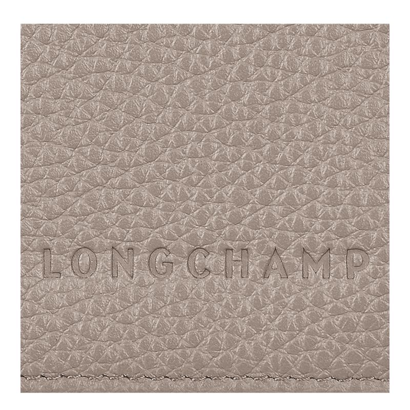 Women Longchamp Le Foulonné Passport Holder Grey | Thailand-354NGLYTR