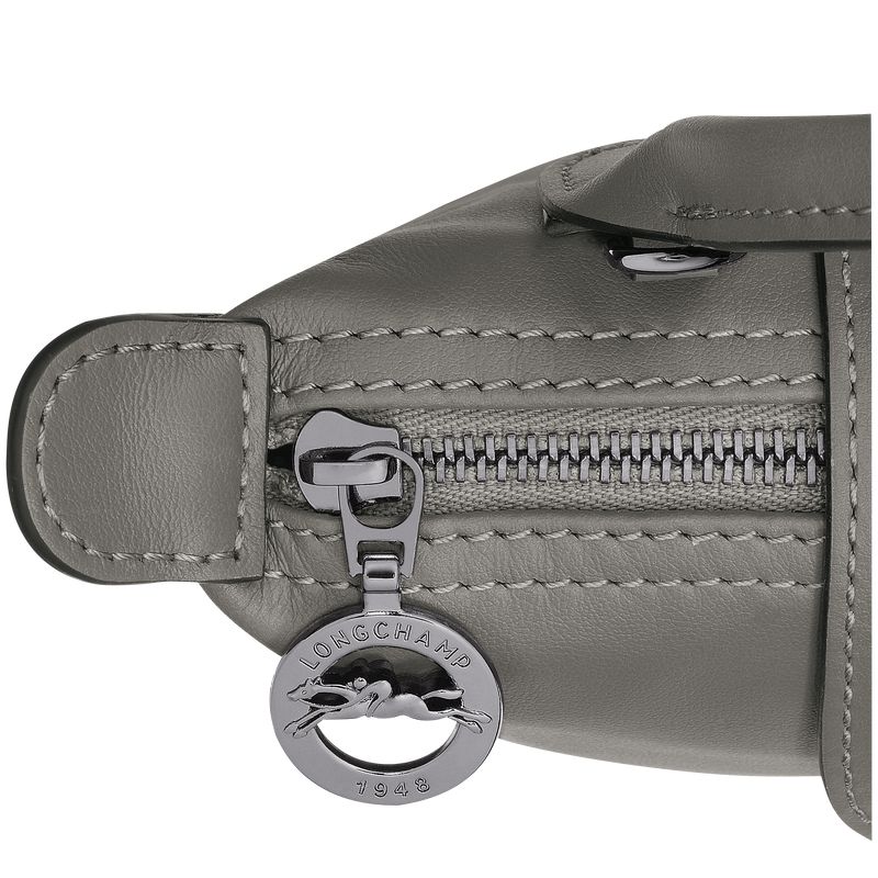 Women Longchamp Le Pliage Xtra Xs Pouch Grey | Thailand-602JATBMR