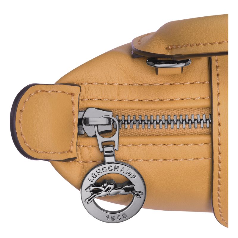 Women Longchamp Le Pliage Xtra Xs Pouch Orange | Thailand-250QLRYTU