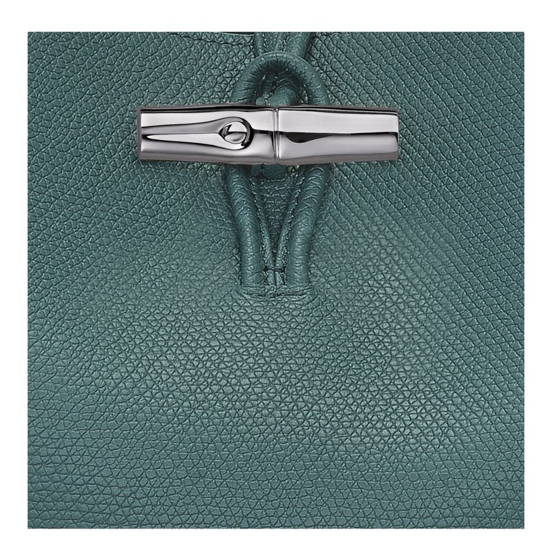 Women Longchamp Le Roseau M Shoulder Bag Blue Green | Thailand-492ARBYEG