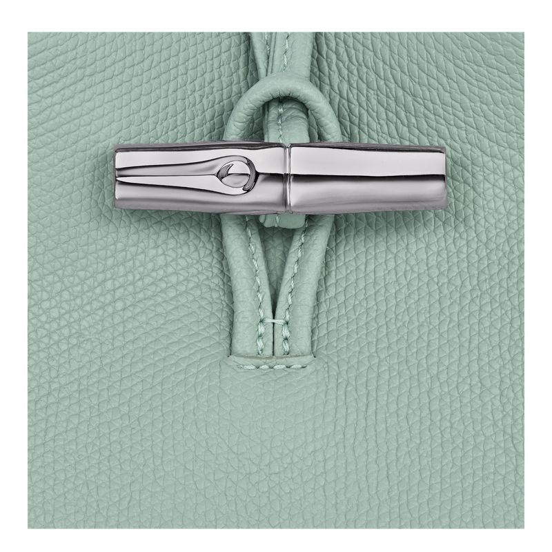 Women Longchamp Le Roseau Phone Case Blue Green | Thailand-058EDPSJR