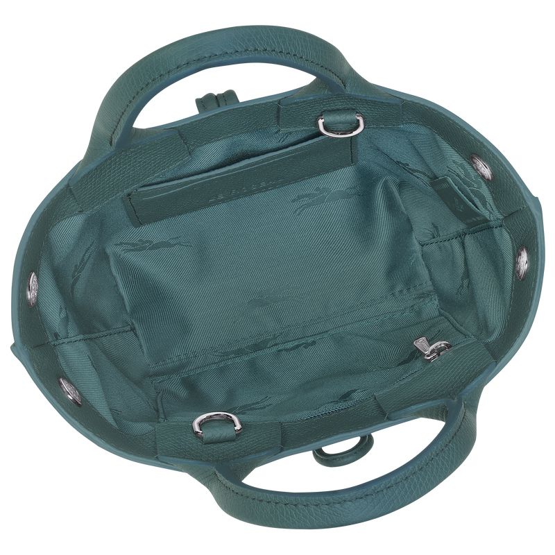 Women Longchamp Le Roseau Xs Handbag Blue Green | Thailand-254BLTDOE